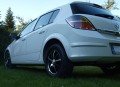 Astra v zahrade