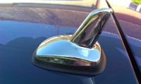 IMAG0767.jpg