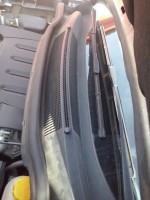 CAM00694_resize.jpg