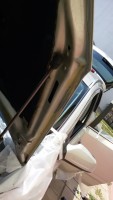 20170621_143143.jpg