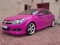 Pinkplate.jpg