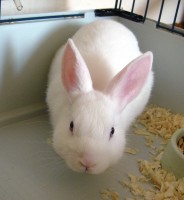 a.jpg (261.9 KiB) Zobrazeno 3742 x a.jpg