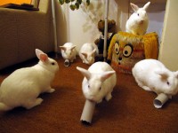 b.jpg (269.88 KiB) Zobrazeno 3742 x b.jpg