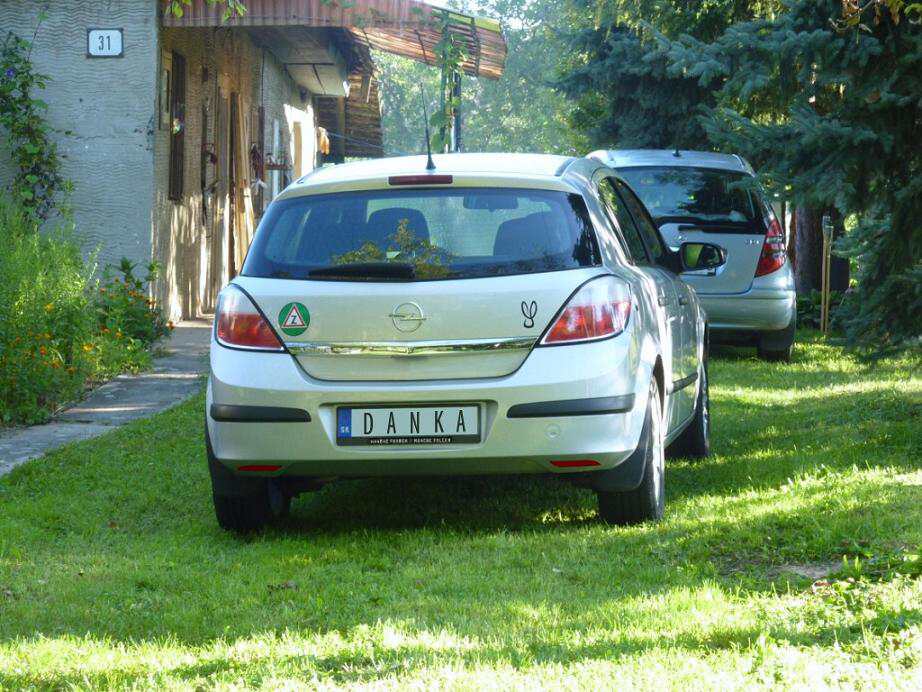 Dankina astra